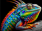 Bunter Leguan - Malen nach Zahlen - Kreativsein.shop