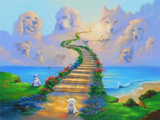 Die Treppe zum Hundehimmel - 5D DIY Diamond Painting - Kreativsein.shop