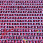 DMC 3805 Cyclamen Pink - eckige Steine - Strass - Diamond Painting