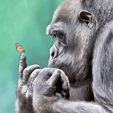 Gorilla bestaunt Schmetterling auf seinem Finger - 5D DIY Diamond Painting - Kreativsein.shop