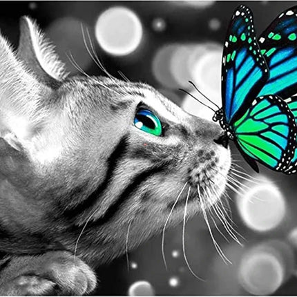 Katze mit Schmetterling auf der Nase LA - Voll AB 5D DIY Diamond Painting - Kreativsein.shop