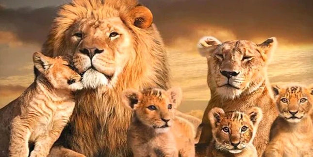 Löwenfamilie - 5D DIY Diamond Painting - Kreativsein.shop