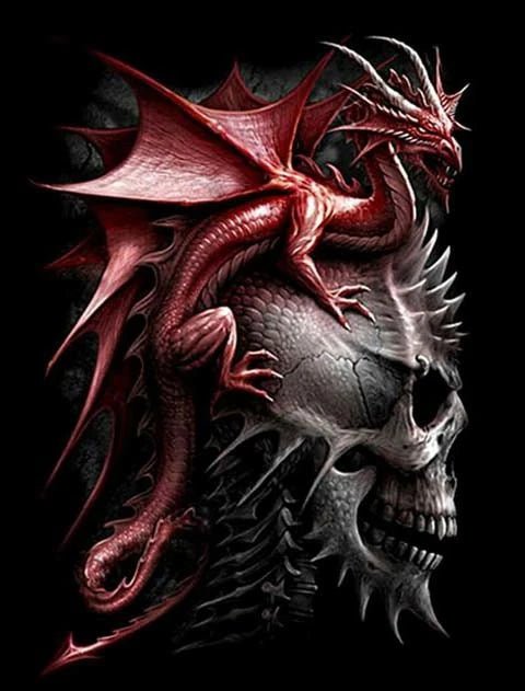 Roter Drache sitzt auf Schädel - 5D DIY Diamond Painting - Kreativsein.shop