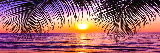 Sonnenuntergang und Palmenblätter - 5D DIY Diamond Painting - Kreativsein.shop