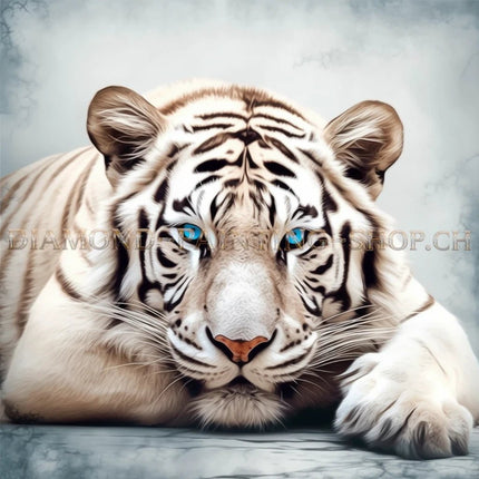 Weisser Tiger mit blauen Augen LA - 5D DIY Diamond Painting - Kreativsein.shop