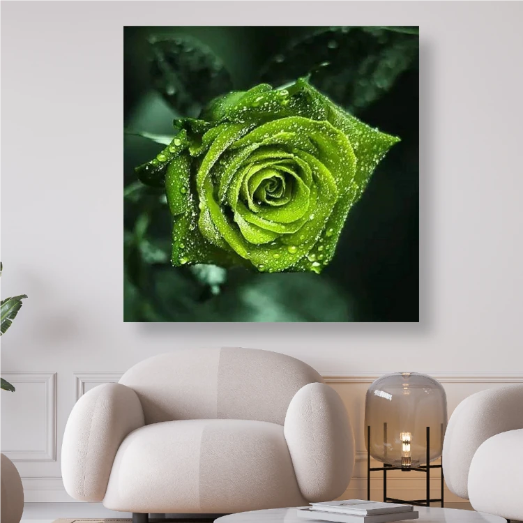 Grüne Rosenblüte mit Wassertropfen - Diamond Painting Kreativsein.shop
