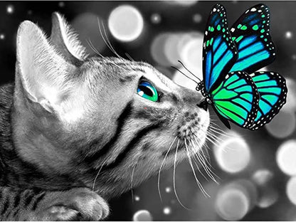 Katze mit Schmetterling auf der Nase - Voll AB Diamond Painting kreativ sein shop