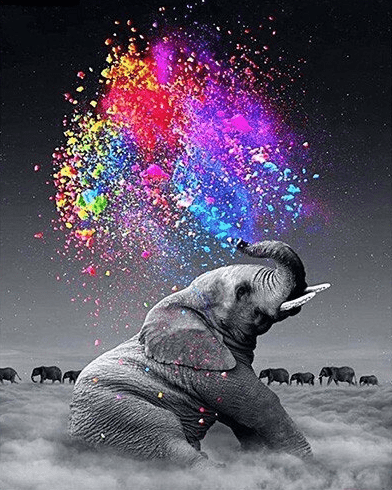 Elefant schwarz weiss mit buntem Farbenspiel | Diamond Painting - Kreativsein.shop