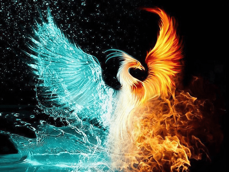 Feuervogel der Elemente Feuer Wasser Phoenix | Diamond Painting - Kreativsein.shop