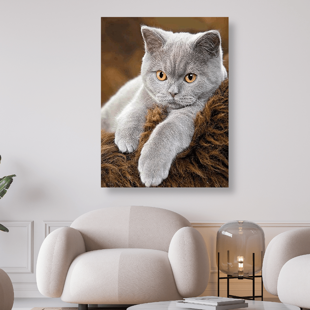 Graue Katze liegt auf Fell | Diamond Painting - Kreativsein.shop