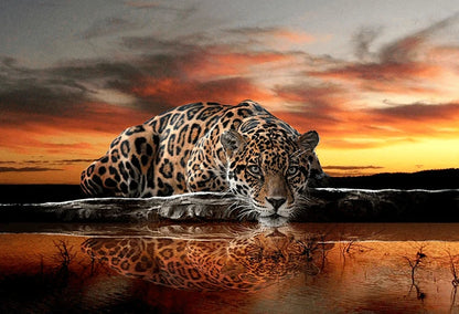 Leopard am Wasser - Diamond Painting kreativ sein shop