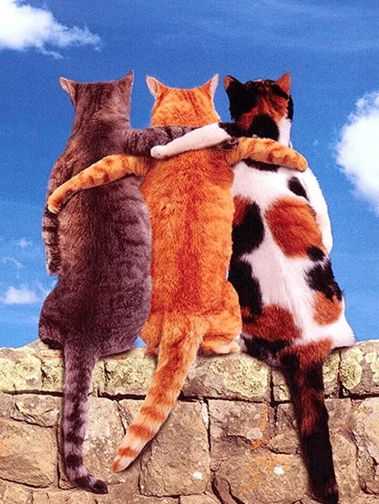 3 Katzen als beste Freunde - Diamond Painting kreativsein shop