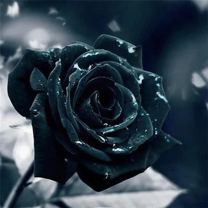 Schwarze Rosenblüte mit Tautropfen - Diamond Painting kreativ sein shop