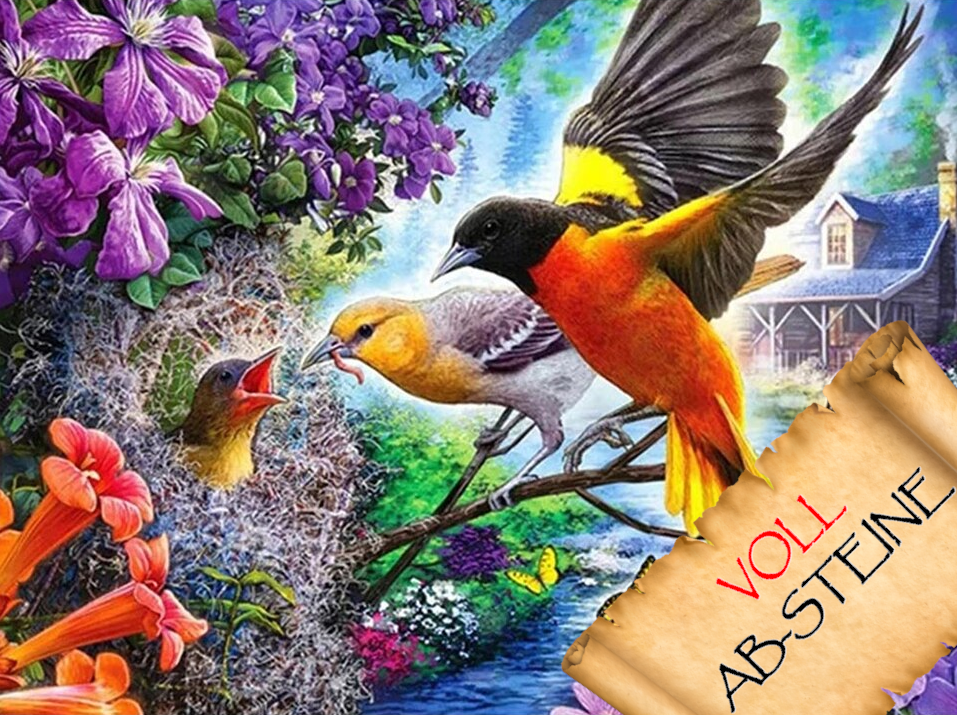 Vögel und Schmetterlinge - Voll AB Diamond Painting